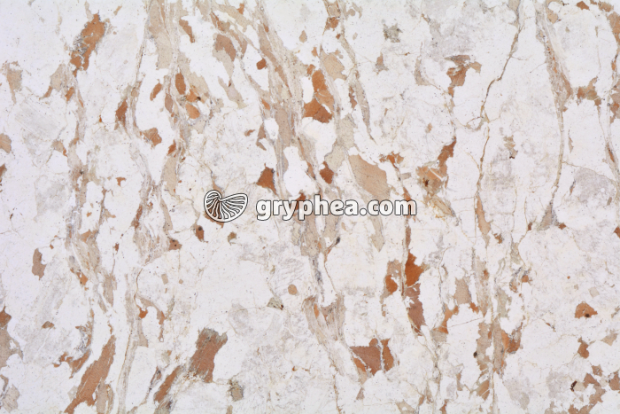 Gneiss LPNA x3,5 - gryphea.com